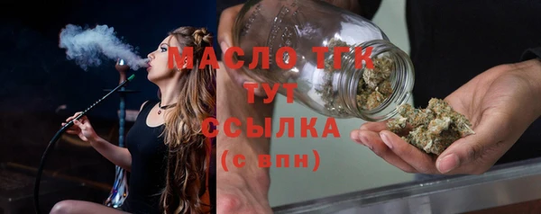молекула духа Арсеньев