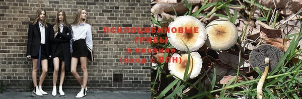 молекула духа Арсеньев