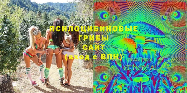 молекула духа Арсеньев
