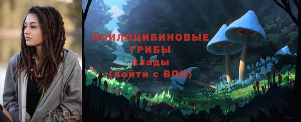 молекула духа Арсеньев