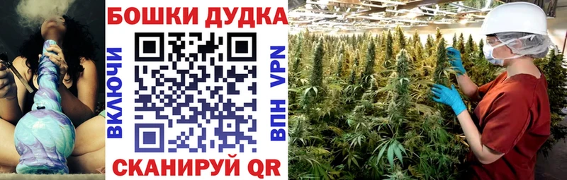 Бошки марихуана OG Kush  купить наркотик  дарк нет Telegram  Солигалич 